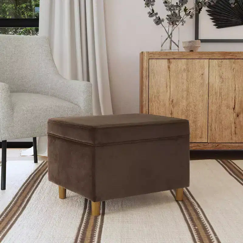 Pouf Contenitore da 24 Pollici con Rivestimento in Velluto, Gambe in Legno e Cerniere Ammortizzate, Capacità 113 kg