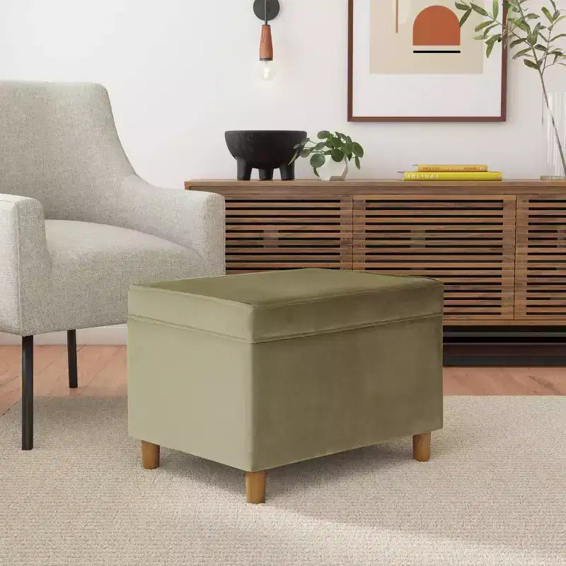 Pouf Contenitore da 24 Pollici con Rivestimento in Velluto, Gambe in Legno e Cerniere Ammortizzate, Capacità 113 kg